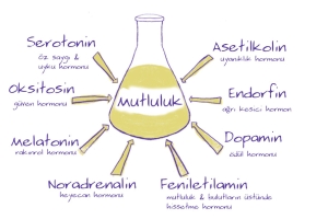 MUTLULUĞUNUZ İÇİN DOPAMİNİNİZİ NASIL ARTTIRILABİLİR.SİNİZ