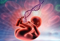 Bebeklerin Yürümeye Başlaması DNA'larında Yazılmış Olabilir?